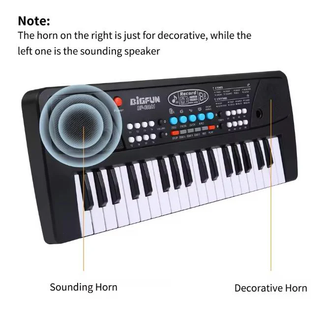 37 Keys BigFun Electronic Keyboard With Microphone - Image 5