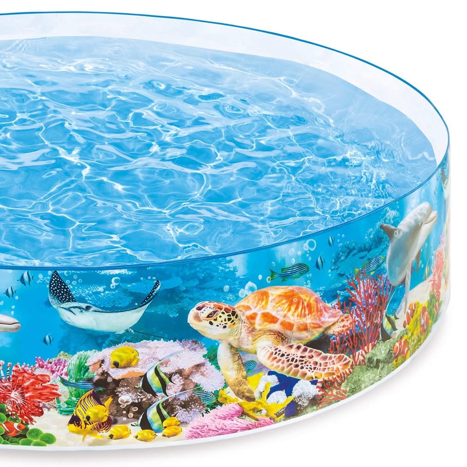 Intex Coral Reef Snapset Pool (8' x 1'6") - Image 3